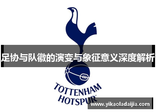 足协与队徽的演变与象征意义深度解析